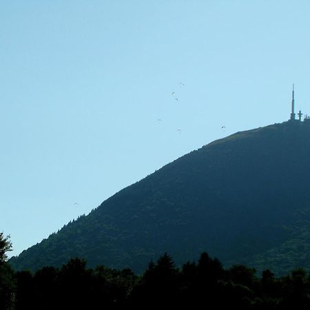 Arum Orcines Kültér fotó